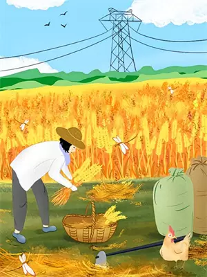 我重生杀她,她重生救我