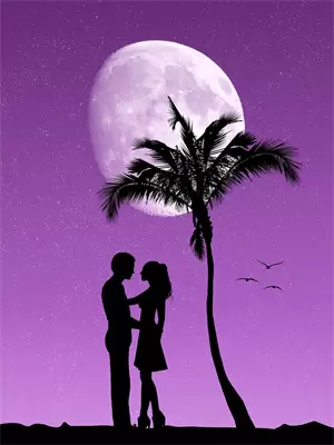 太子退婚的小说