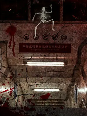 序列003实力排行